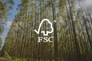 Read more about the article Você sabia que somos uma empresa certificada pela FSC?